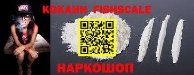 крисы Кузнецк