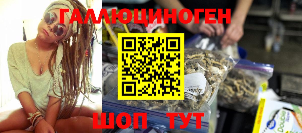 Галлюциногенные грибы Psilocybine cubensis Димитровград
