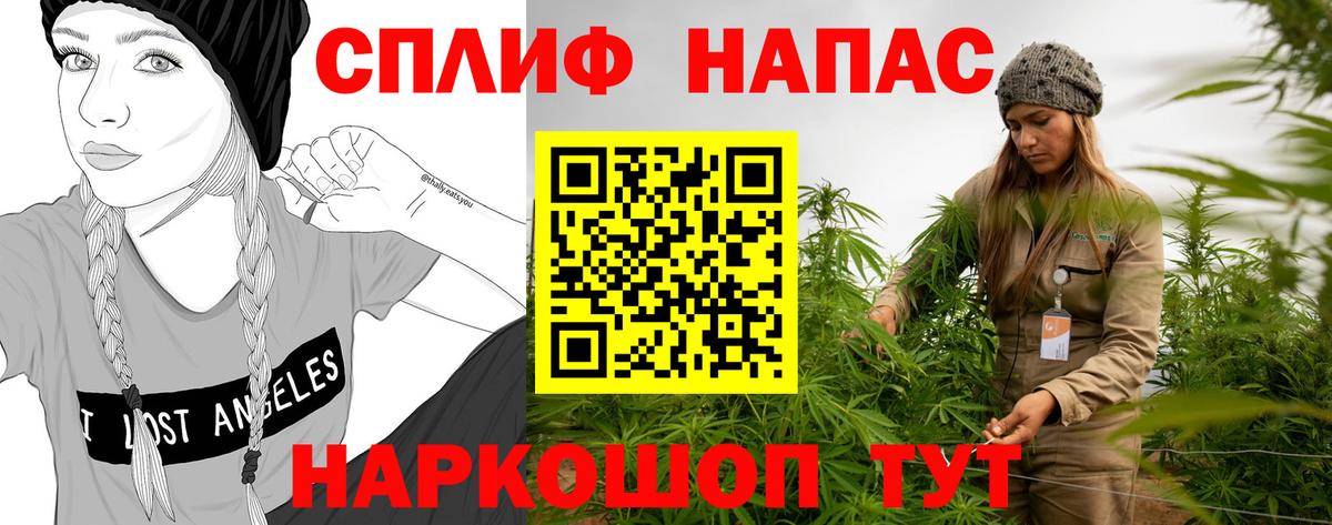 Марихуана сатива Димитровград